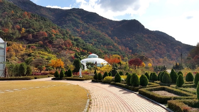 완주 고산자연휴양림 예약, 앞으로 산림청 숲나들e로