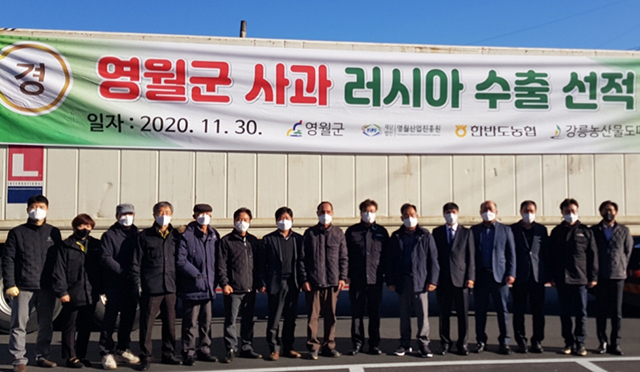 ‘아삭 아삭’ 영월 사과 러시아 수출
