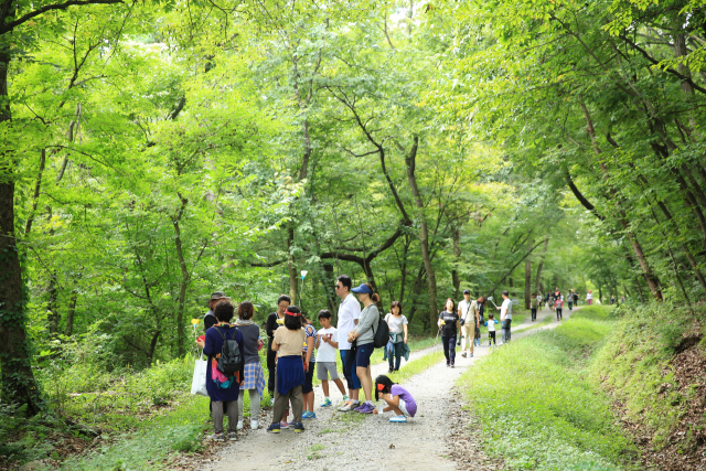 북부산림청, 산림교육 운영사업 위탁 업체 모집