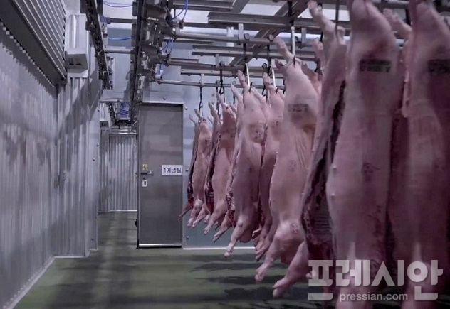 제주 도축장의 불편한 진실Ⅰ... 제대로 된 계근대도 없어