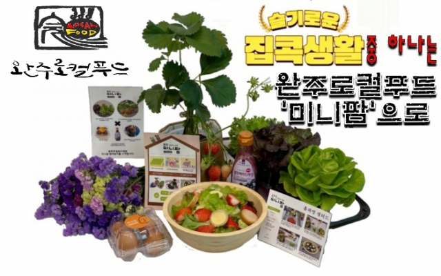 농산물을 직접 길러 냠냠...완주로컬푸드 홈파밍 미니팜 런칭