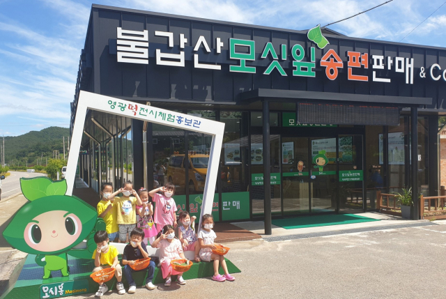 영광군, 모시 떡 아카데미 운영 인기