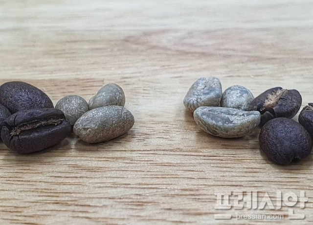 [알고 마시면 더 맛있는 커피] ⑦커피, 무조건 안심하고 마시면 안된다