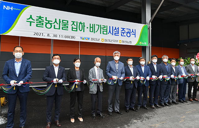 정선농협, 수출농산물 집하·선별장 본격 운영