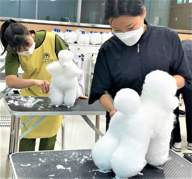 한국 펫고등학교,‘전국영농학생 전진대회’ 애견 미용 분야 금‧은‧동 싹쓸이