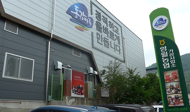 영월농협 가공사업소, 꿀벌 실종에 벌꿀 대신 ‘수수 가공사업’ 전환