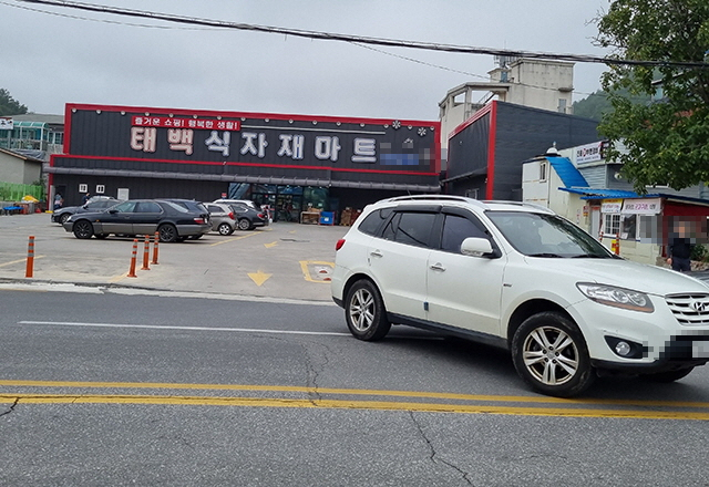 태백 식자재마트 진출입, 교통법규 위반논란…중앙성 절선 시급 지적