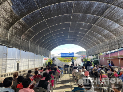 [파주 소식] 파주시, 청소년 문화거리 축제 개최 등