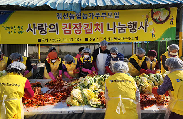 정선농협 농가주부모임, 사랑의 김장김치 나눔 ‘훈훈’