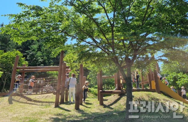 장성군, 장성공원 생태놀이터에 유아숲 체험원 조성