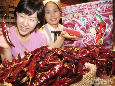 안면도産 태양초 햇 건고추 출하