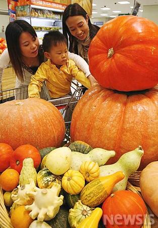 슈퍼 자이언트 호박 구경오세요!
