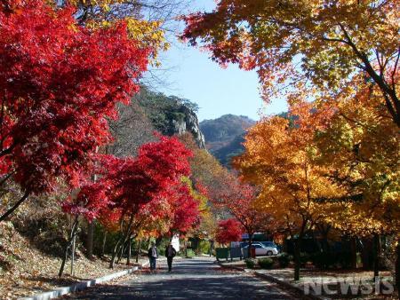 소요산의 붉은 단풍 축제 소요 단풍문화제