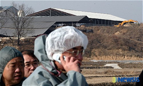 경기 안성에 고병원성 AI 발생
