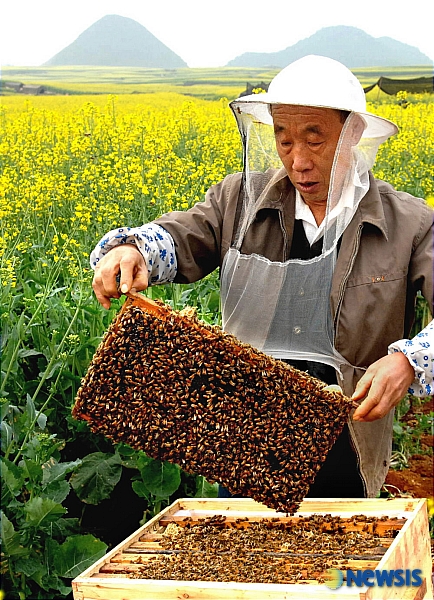 벌써 꽃 폈네, 바쁘다, 바빠!
