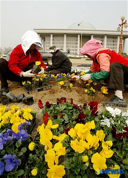 봄 맞이 꽃단장