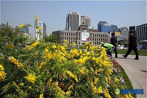들꽃이 어울리는 서울시청 조경동산