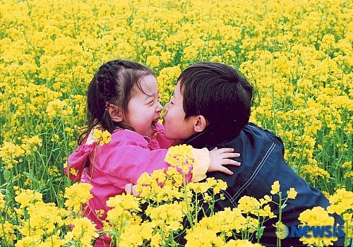 삼척유채꽃사진공모전 금상 - 입맞춤은 안돼