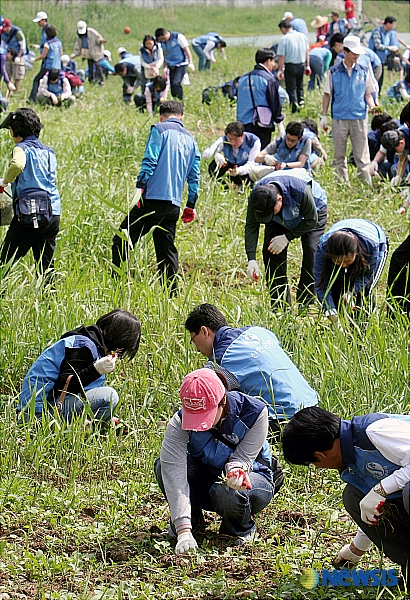 환경정화에 나선 시민들
