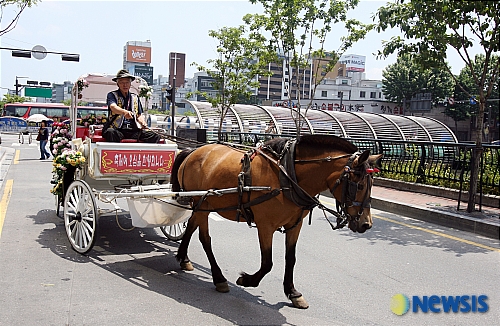 청계천길 달리는 관광마차 시범운행