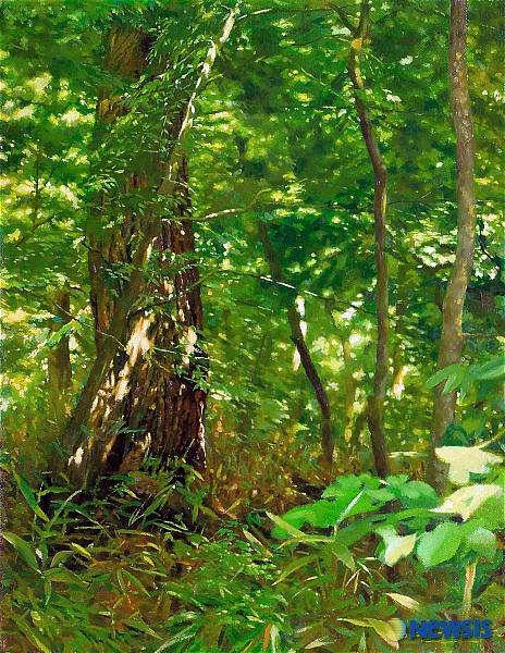 Human & Nature展-숲