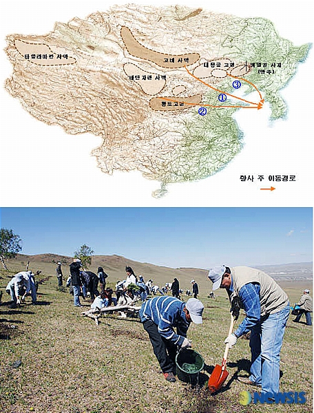 산림청, 몽골 그린벨트사업 등 사막녹화사업 활발