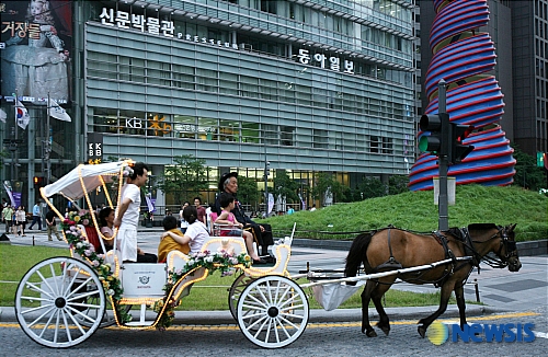 밤에도 운행하는 청계천 관광마차