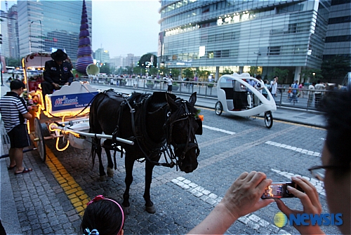 관광마차 카메라에 담자