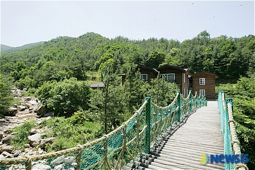 상주시 성주봉자연휴양림 휴양객 쇄도