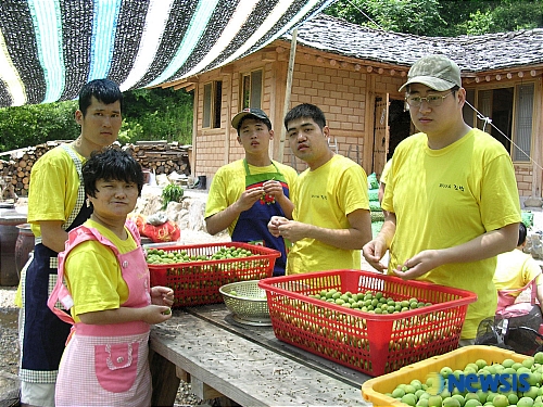 길벗 보호작업장, 매실로 장애인 자립을 꿈꾸다