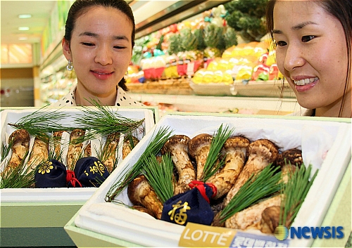 다가온 추석 선물 송이 버섯 어때요
