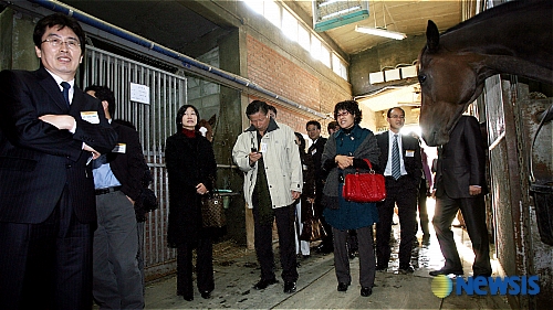 서울 경마공원 경주마방 찾은 외국인 투자자들