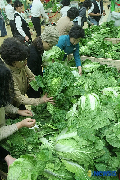 金값 배추, 할인행사 북적