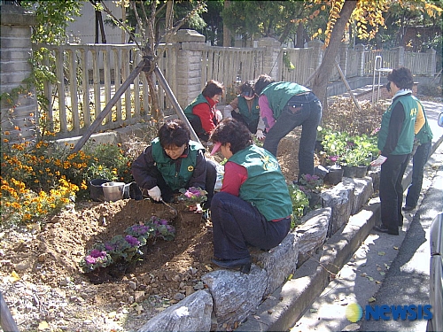 남구, 겨울철 길거리 환경개선 초화 식재