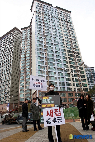 새집증후군, 피톤치드로 해결하세요