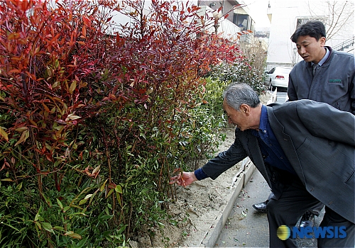 잘 키운 묘목 하나, 열 고목 안 부럽지