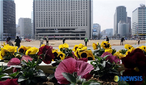 서울광장에 봄맞이 준비 한창