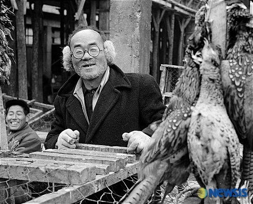 소박한 사람들의 삶의 현장 - 닭장수