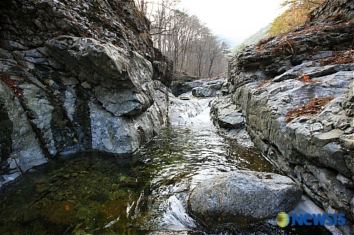 울진 신선계곡 트레킹 코스로 개발된다