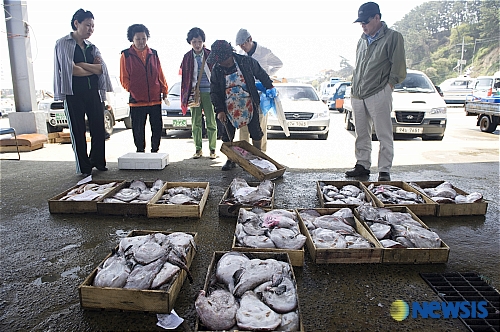 충남 서천 홍원항 어판장 모습