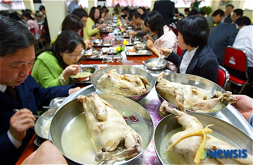 농진청, 유통 닭고기 안전합니다