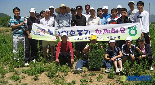 신풍면사무소 신풍농협협동조합 직원들 농촌일손 돕기