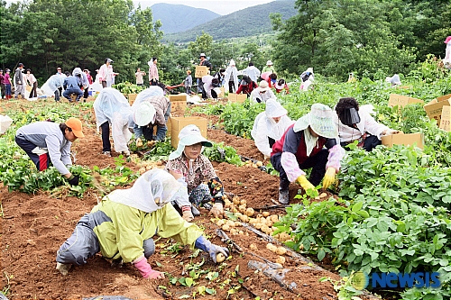 경주시 농산물 수확 체험을 통해 직거래 판매