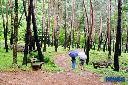 검마산자연휴양림, 9월의 자연휴양림 선정