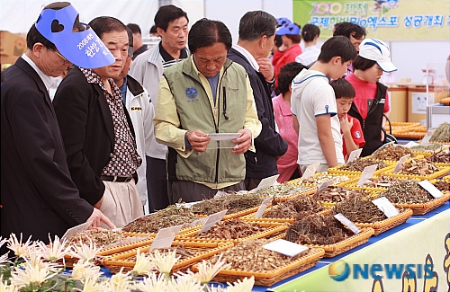 “어떤 약초가 내 몸에 맞을까…”