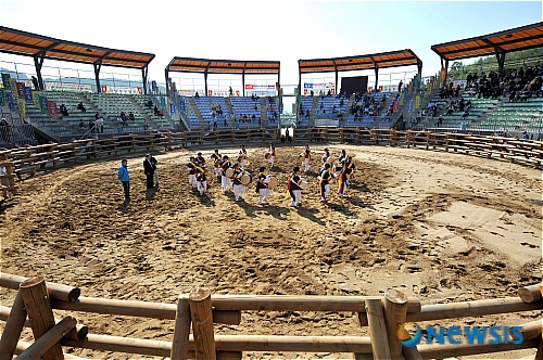 <송기자 여행사진> 후끈 달아 오른 진주 소싸움 경기장