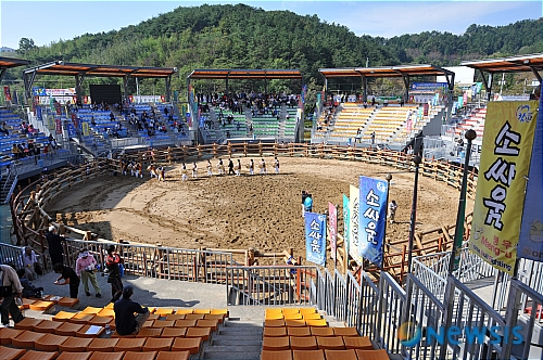 <송기자 여행사진> 진주 전통 소싸움 경기장