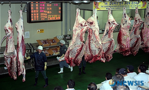 경북한우경진대회