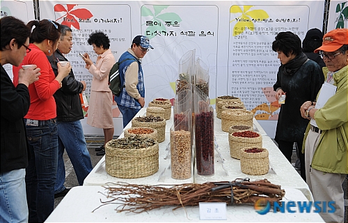 제7회 인삼, 약초축제