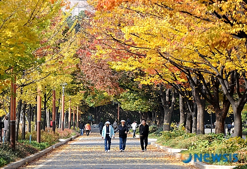 낙엽 떨어지는 11월의 공원